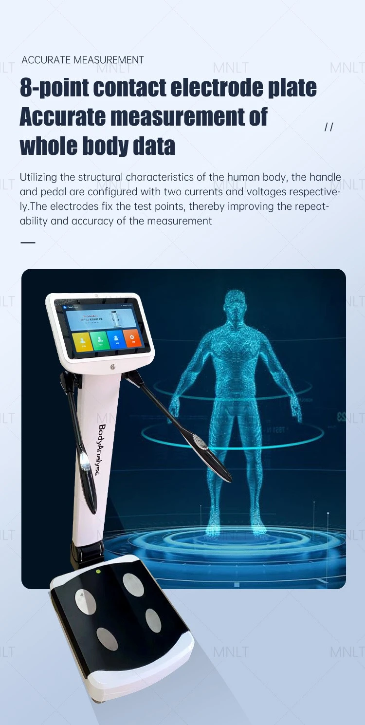Professional Body Composition Analyzer For Clinics, Gyms & Wellness Centers high quality